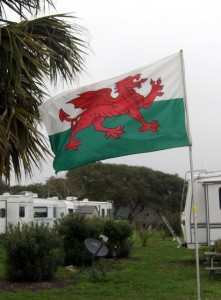 Photo of the flag of Wales flying on St. David's Day
