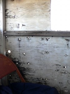 Photo of bullet holes in hunting stand