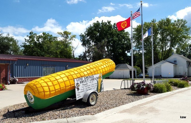 Photo for Sweet Corn Days