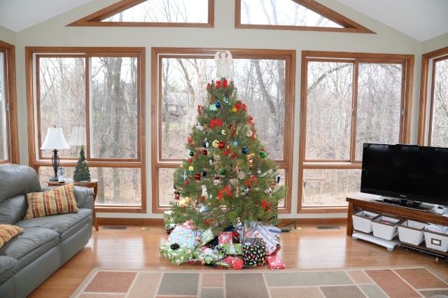 Photo of the Christmas tree at Hannah's home.