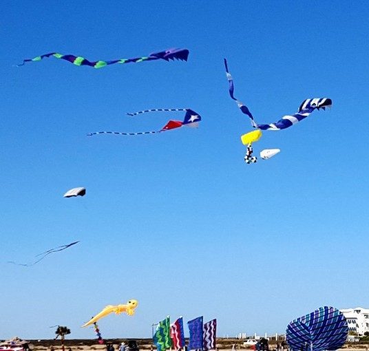 Photo of kites flying on South Padre Island.