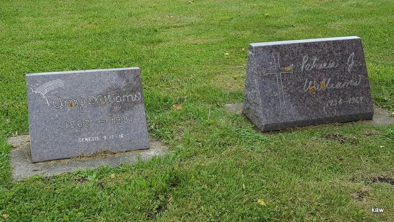 Photo of Williams monuments, Memorial Day 2016